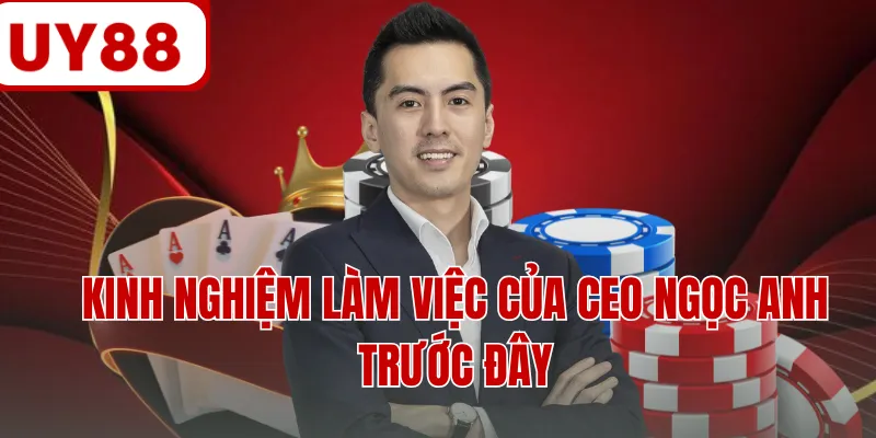 Kinh nghiệm làm việc của CEO Ngọc Anh trước đây